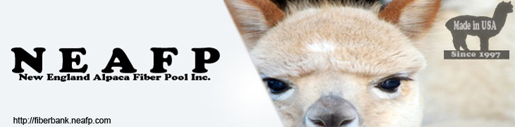 NEAFP_LOGO